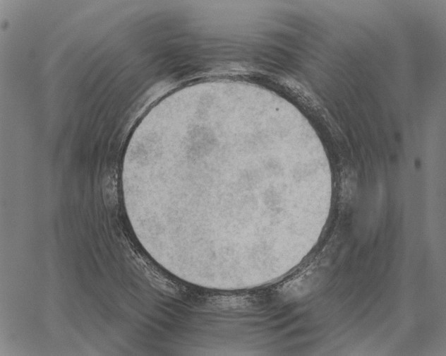 X0000062871409200602101640