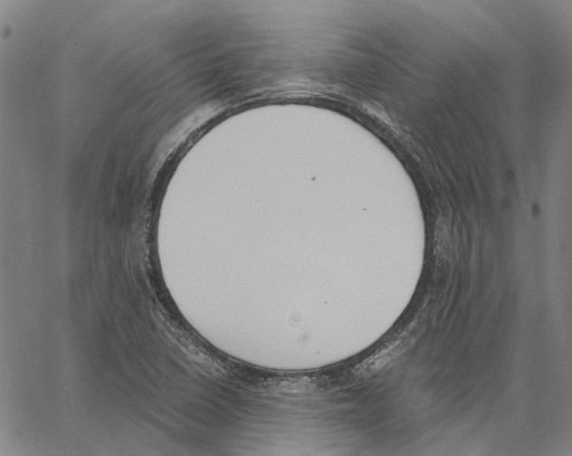 X0000062871410200602101640