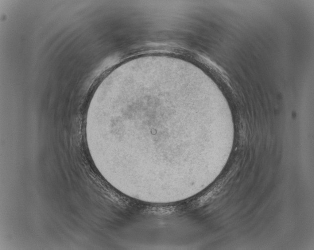 X0000062871411200602101640