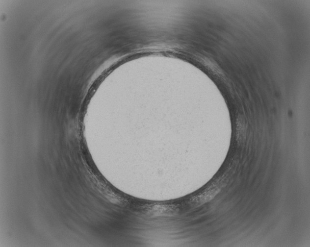 X0000062871412200602101640