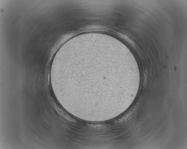 X0000062871413200602101640