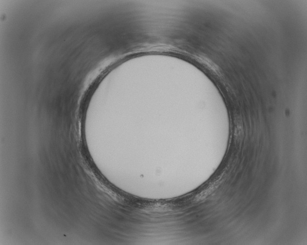 X0000062871414200602101640