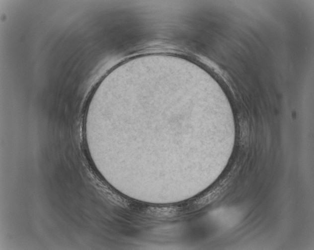 X0000062871415200602101640