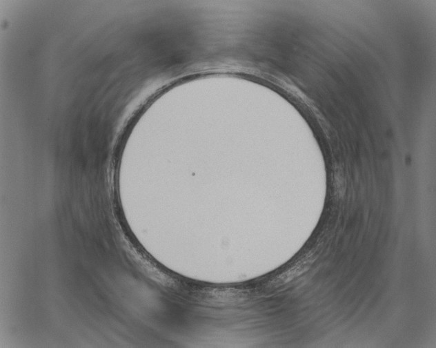 X0000062871416200602101640