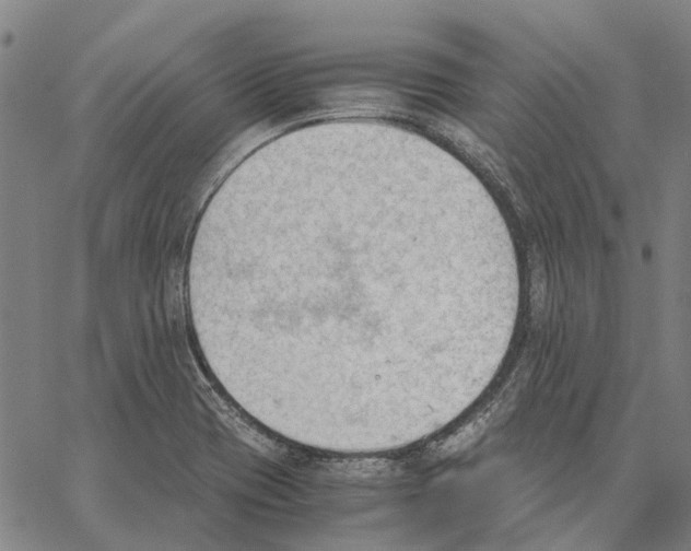 X0000062871417200602101640