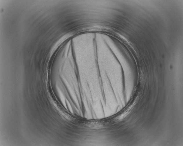 X0000062871418200602101640