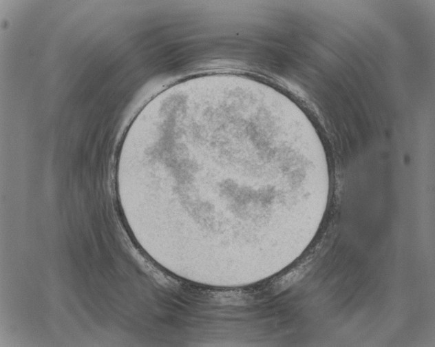 X0000062871421200602101640