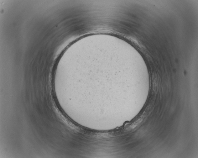 X0000062871422200602101640