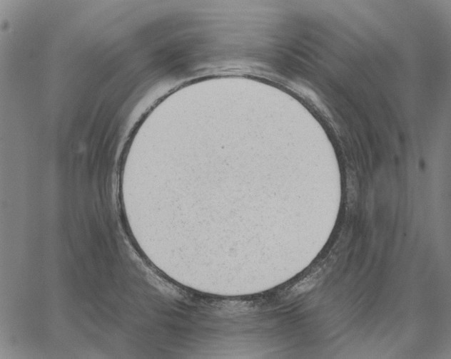 X0000062871424200602101640