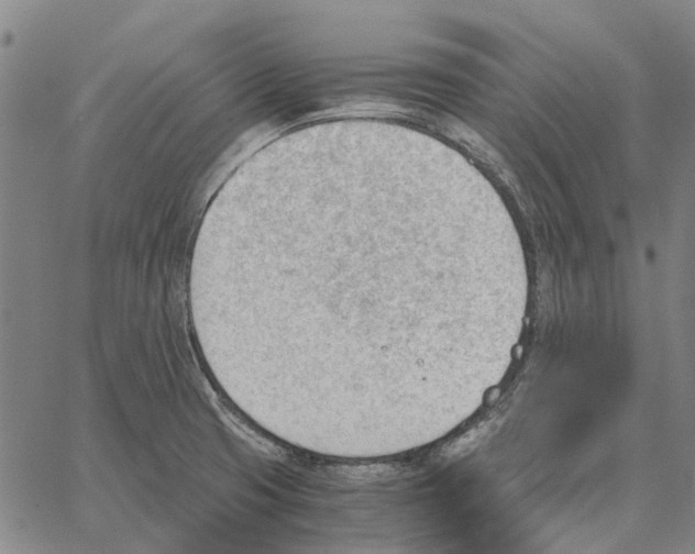 X0000062871425200602101640