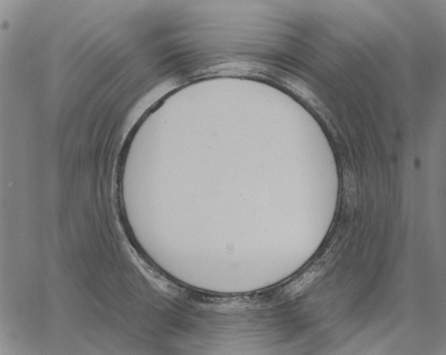 X0000062871426200602101640