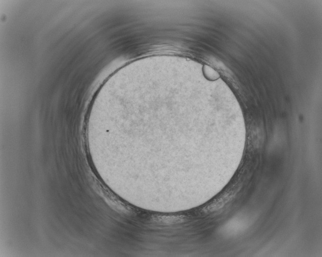 X0000062871427200602101640