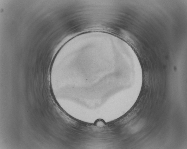 X0000062871428200602101640