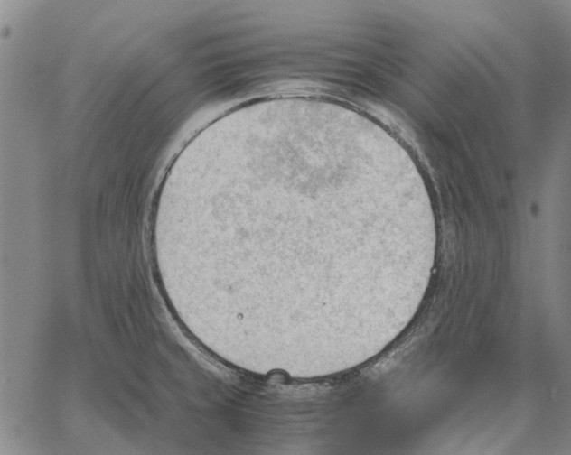 X0000062871429200602101640