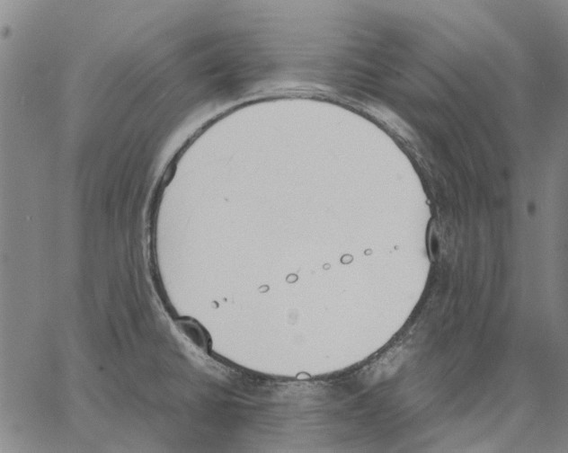 X0000062871430200602101640