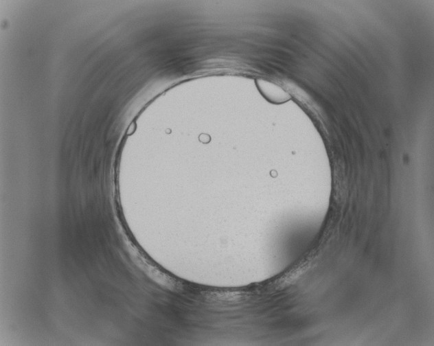 X0000062871431200602101640