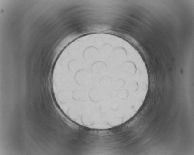 X0000062871432200602101640