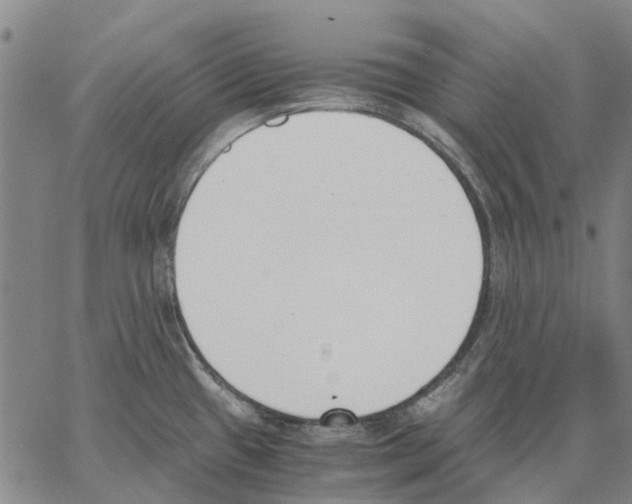 X0000062871433200602101640