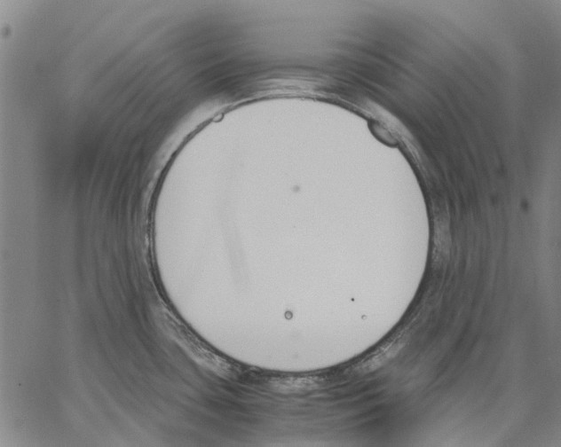 X0000062871435200602101640