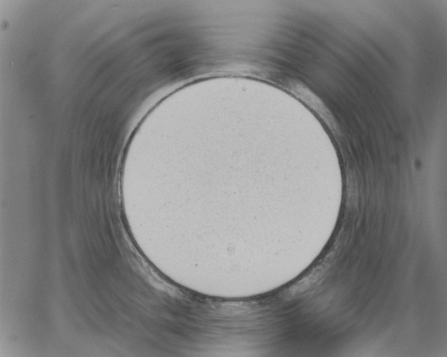 X0000062871436200602101640