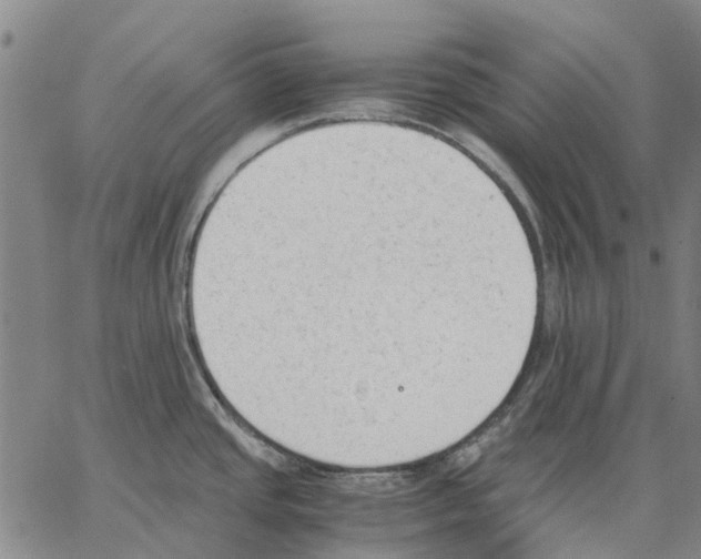 X0000062871437200602101640