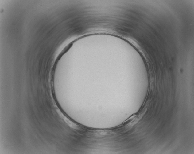 X0000062871438200602101640