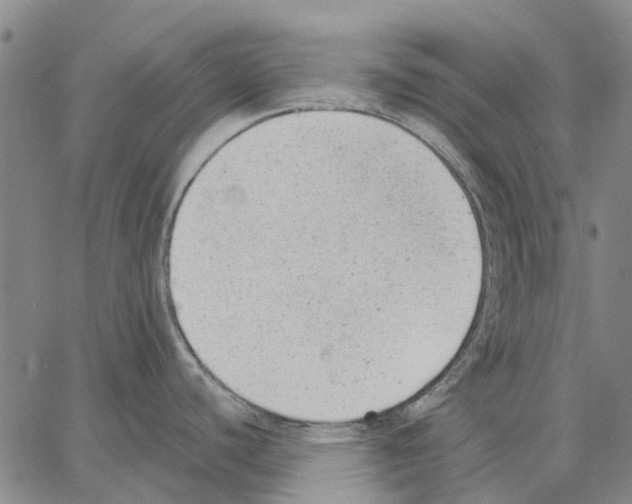 X0000062871440200602101640