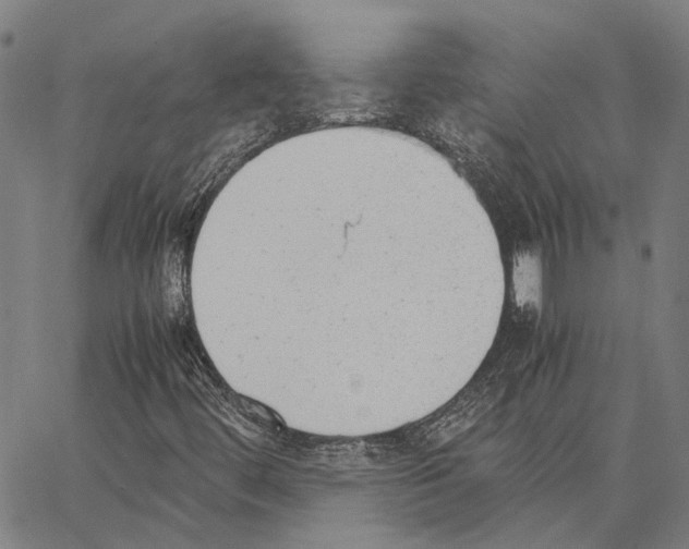 X0000062871444200602101640