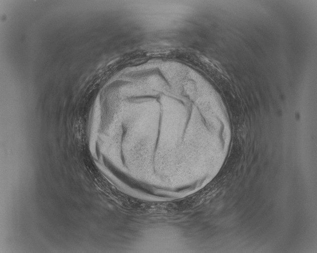 X0000062871445200602101640