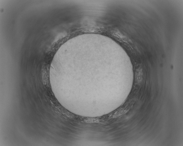 X0000062871446200602101640