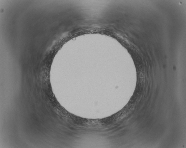 X0000062871447200602101640