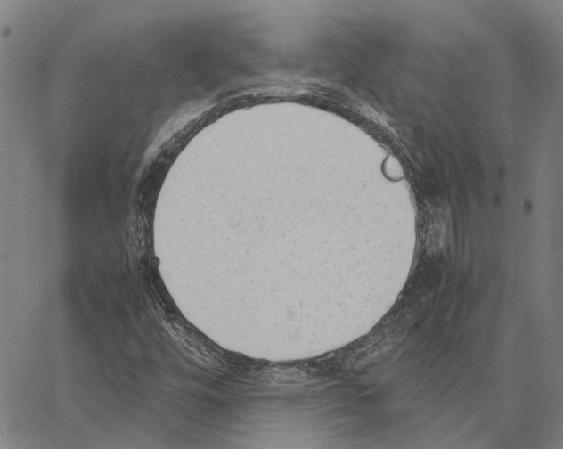 X0000062871448200602101640