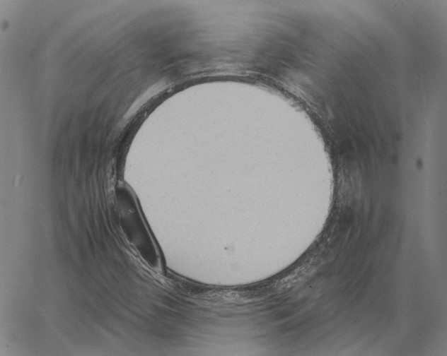 X0000062871450200602101640