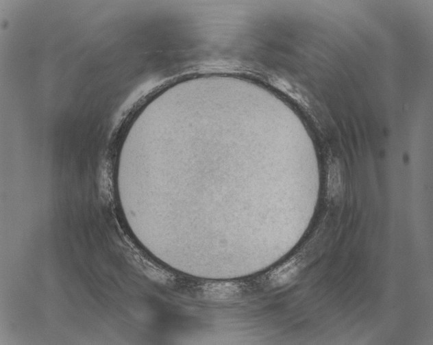 X0000062871454200602101639