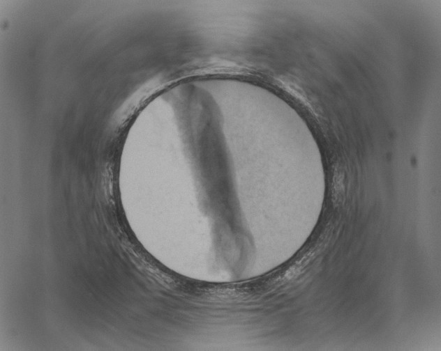 X0000062871455200602101639