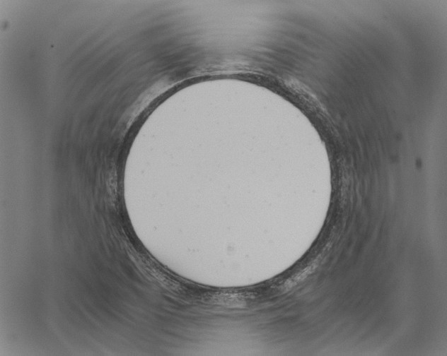 X0000062871457200602101639