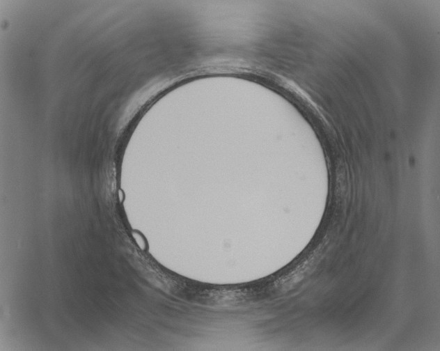 X0000062871461200602101639