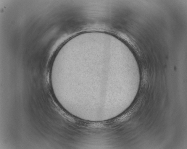 X0000062871462200602101639