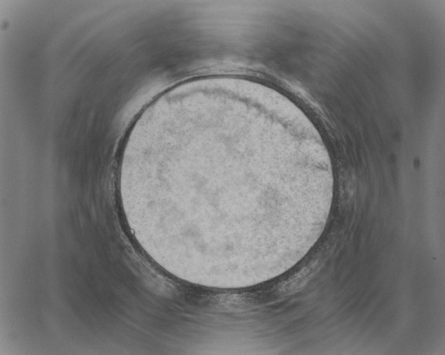 X0000062871463200602101639