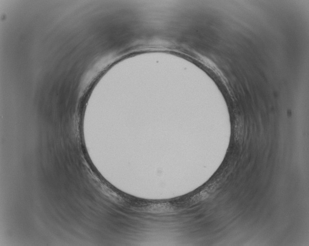 X0000062871464200602101639