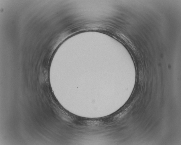 X0000062871465200602101639