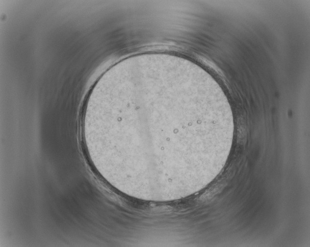 X0000062871467200602101639