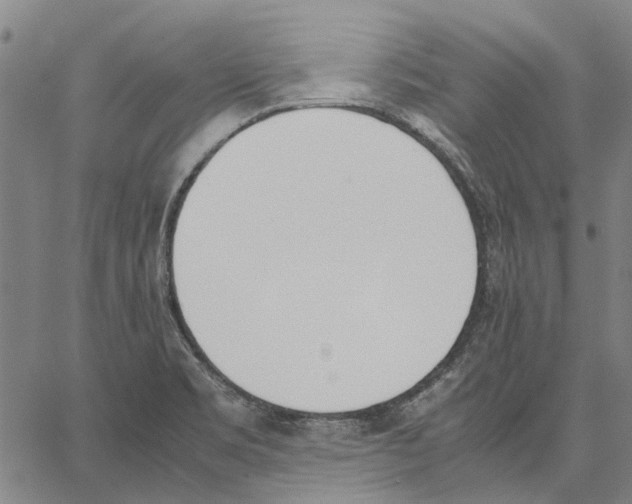 X0000062871469200602101639