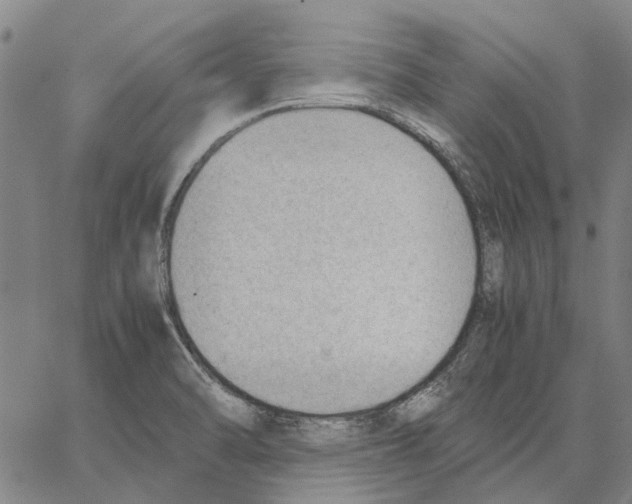 X0000062871470200602101639