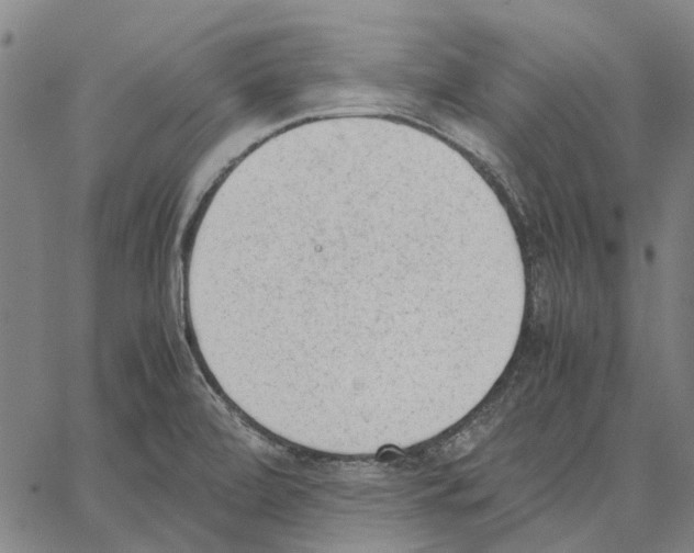 X0000062871472200602101639