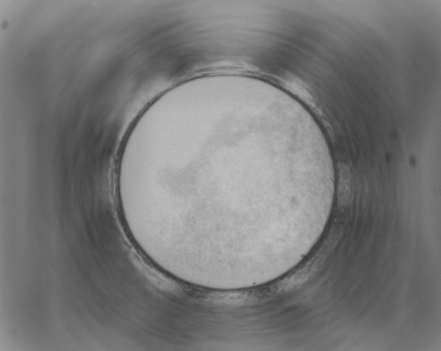 X0000062871474200602101639