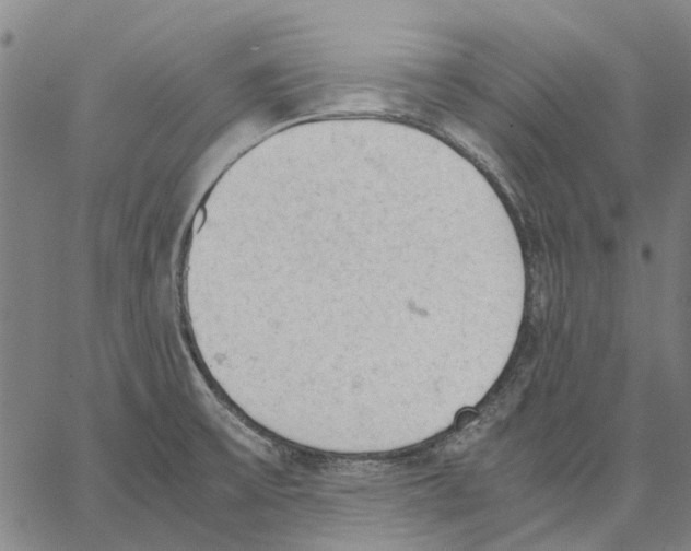 X0000062871475200602101639