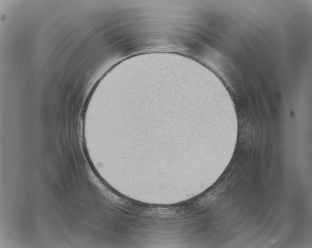 X0000062871476200602101639