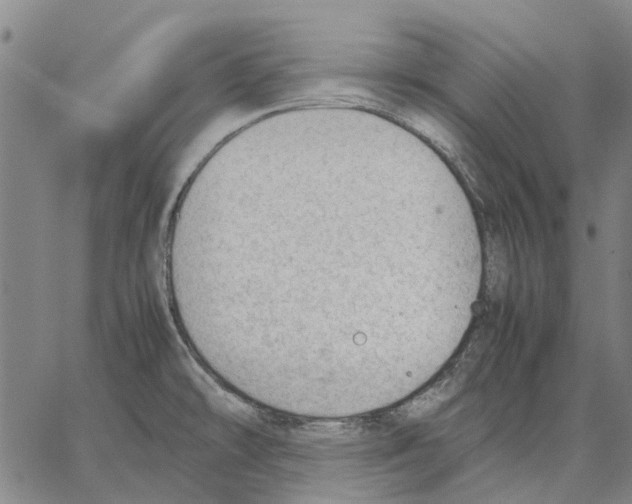 X0000062871478200602101639