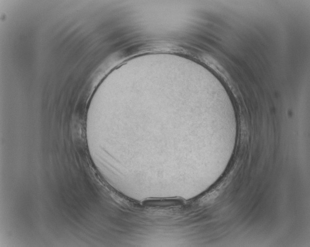 X0000062871481200602101639